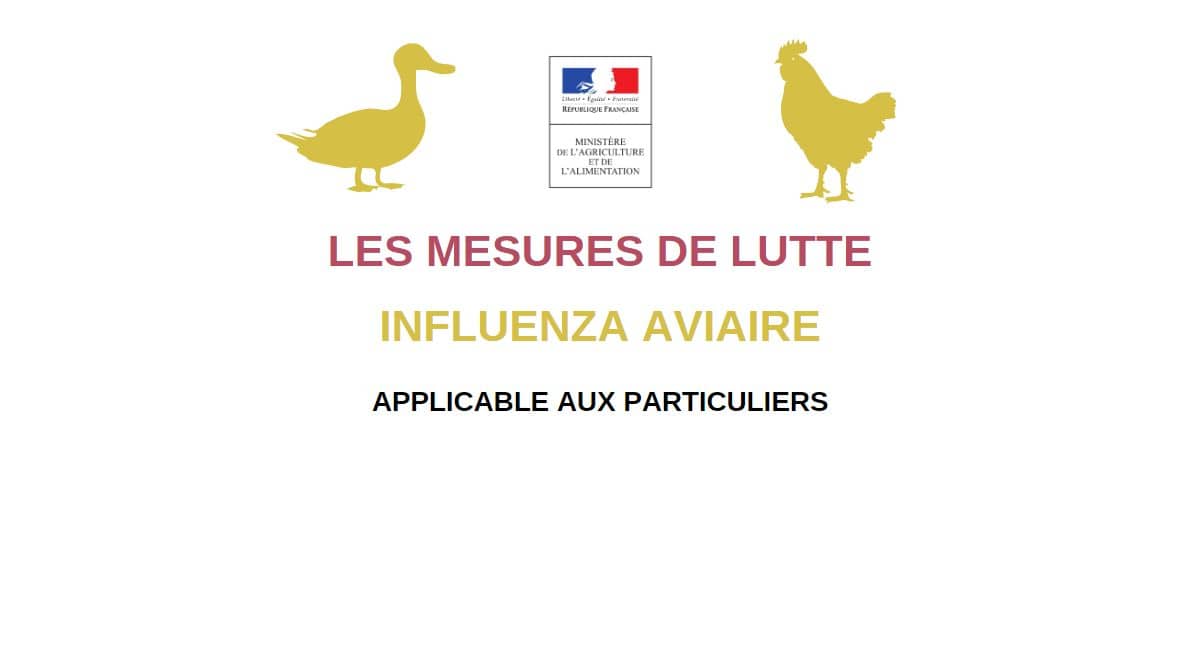 Lire la suite à propos de l’article Lutte contre l’influenza aviaire applicables aux particuliers