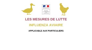 Lire la suite à propos de l’article Lutte contre l’influenza aviaire applicables aux particuliers